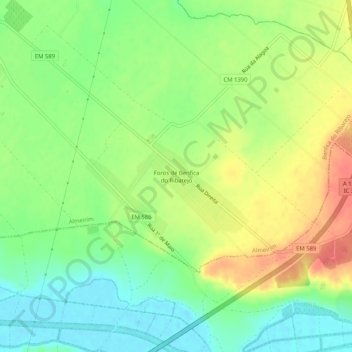 Foros de Benfica do Ribatejo topographic map, elevation, terrain