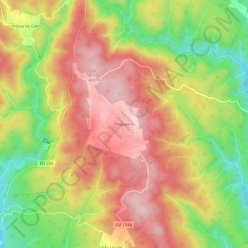 Felgueira topographic map, elevation, terrain