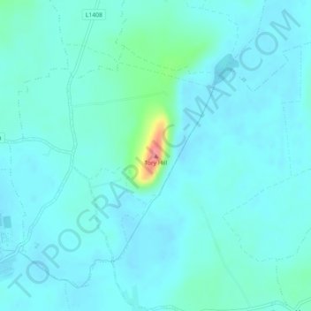 Tory Hill topographic map, elevation, terrain