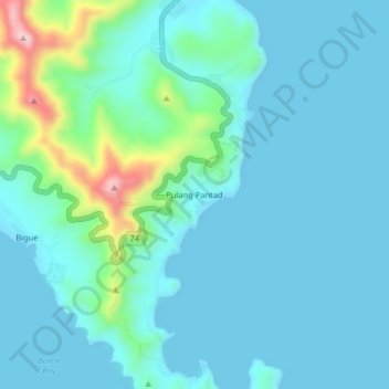 Pulang Pantad topographic map, elevation, terrain