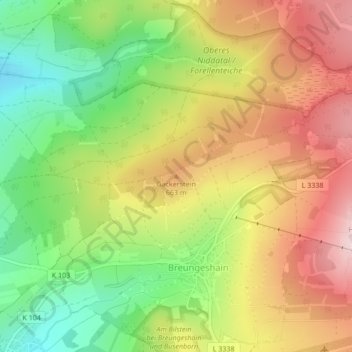 Gackerstein topographic map, elevation, terrain