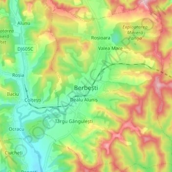 Berbești topographic map, elevation, terrain