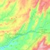 Fornos de Algodres topographic map, elevation, terrain