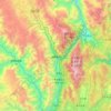 虎跳峡镇 topographic map, elevation, terrain