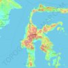 Sulawesi topographic map, elevation, terrain
