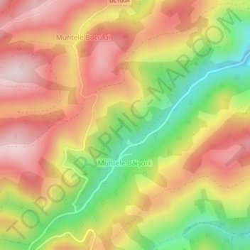 Muntele Băișorii topographic map, elevation, terrain