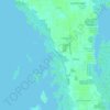 Pine Island Center topographic map, elevation, terrain